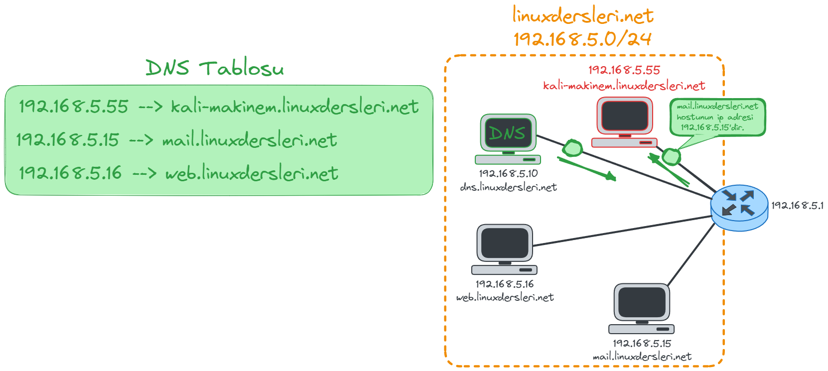 DNS-response.webp