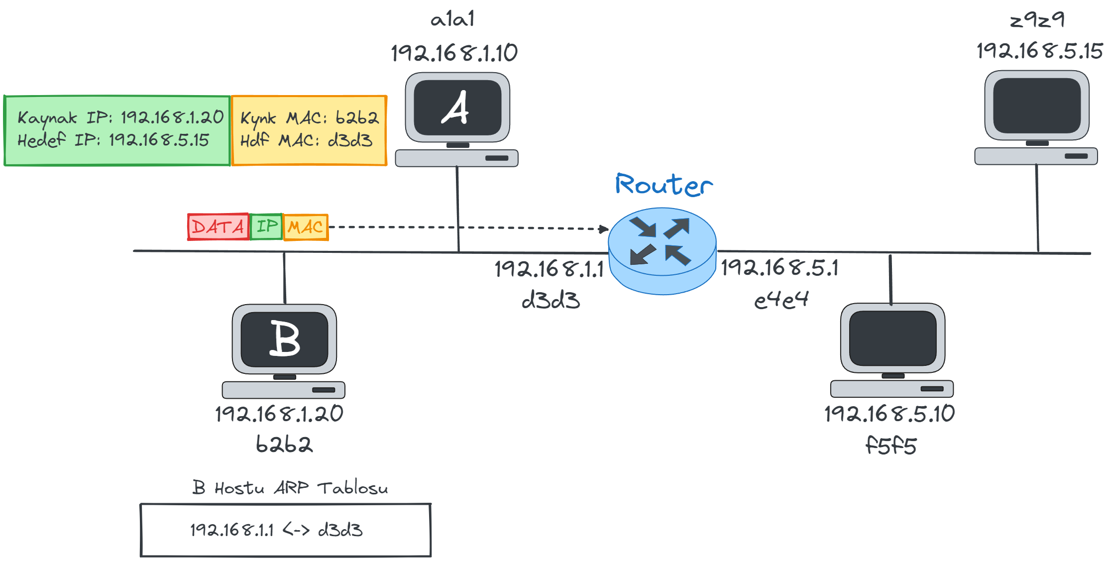 ARP9.webp