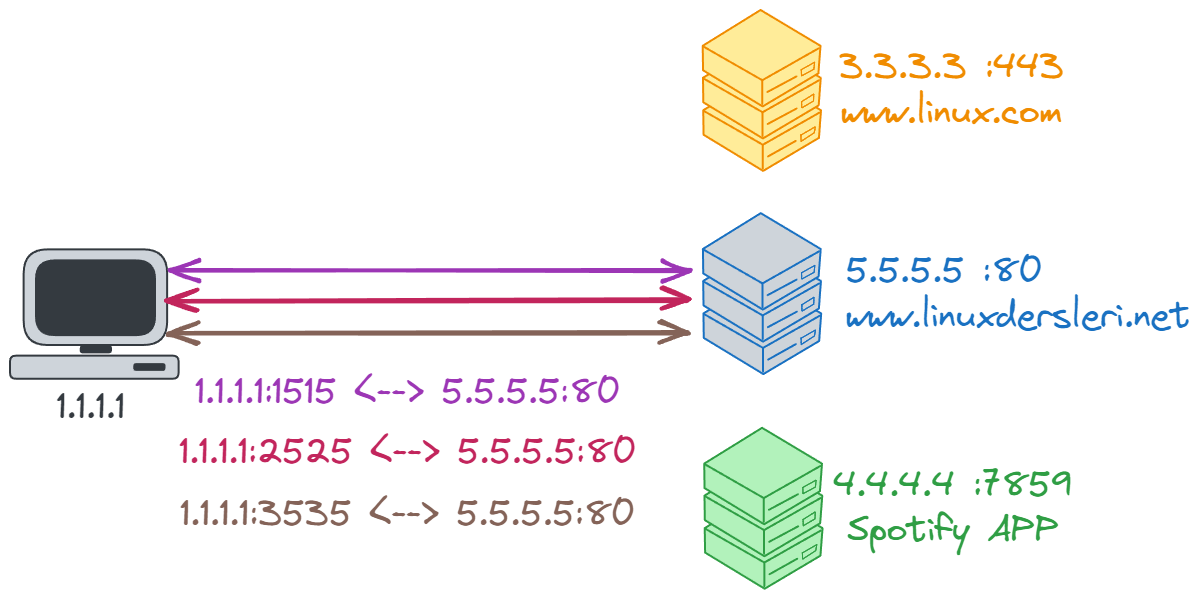 multi-tab-port.webp